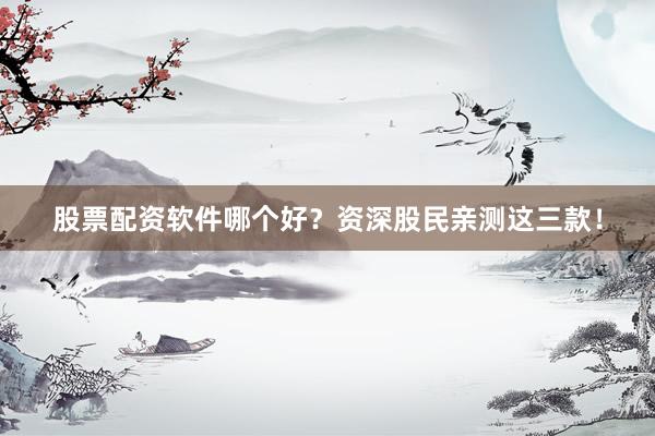 股票配资软件哪个好？资深股民亲测这三款！