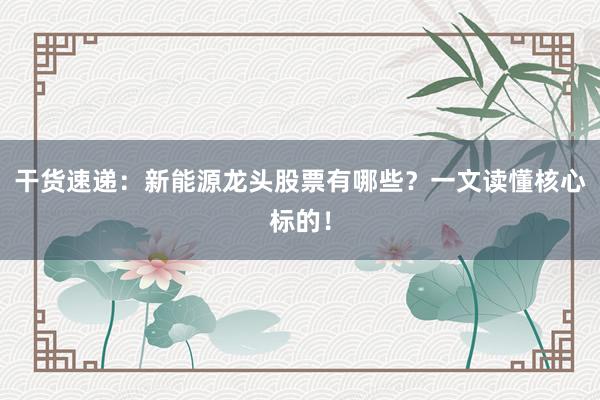干货速递：新能源龙头股票有哪些？一文读懂核心标的！