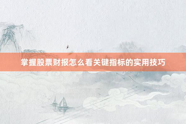 掌握股票财报怎么看关键指标的实用技巧