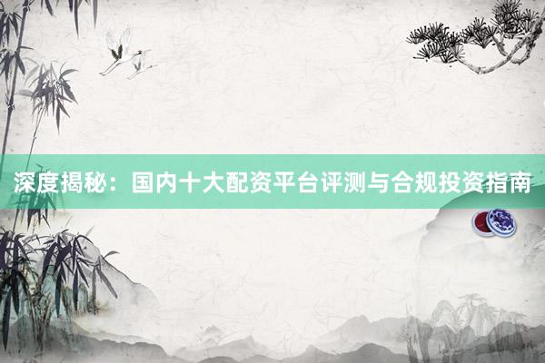 深度揭秘：国内十大配资平台评测与合规投资指南