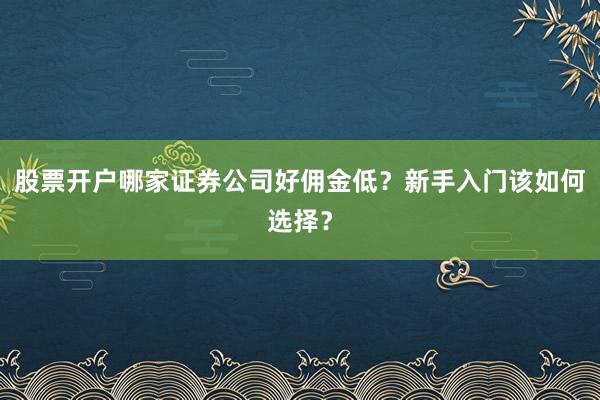 股票开户哪家证券公司好佣金低？新手入门该如何选择？
