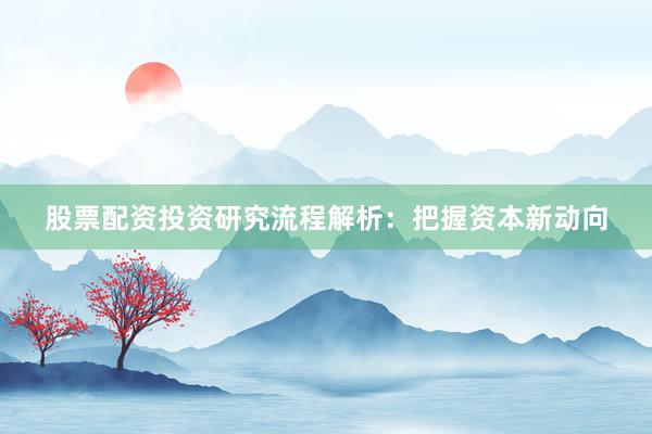 股票配资投资研究流程解析：把握资本新动向