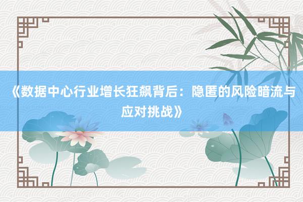 《数据中心行业增长狂飙背后：隐匿的风险暗流与应对挑战》