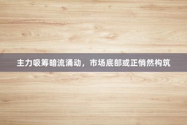 主力吸筹暗流涌动，市场底部或正悄然构筑