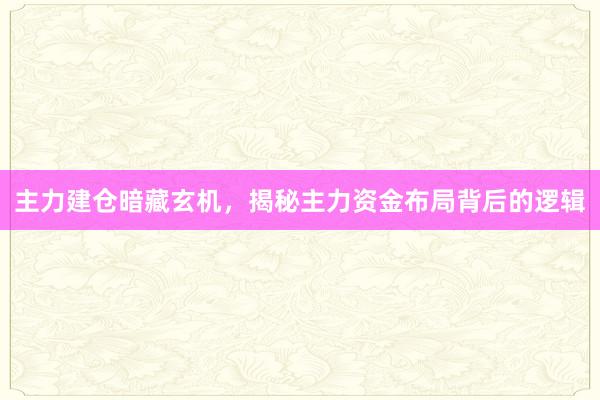 主力建仓暗藏玄机，揭秘主力资金布局背后的逻辑