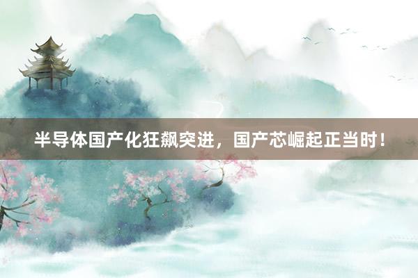 半导体国产化狂飙突进，国产芯崛起正当时！