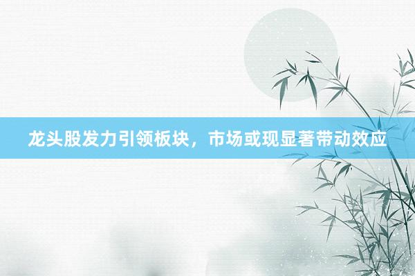 龙头股发力引领板块，市场或现显著带动效应