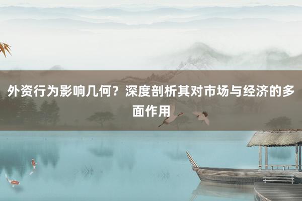 外资行为影响几何？深度剖析其对市场与经济的多面作用